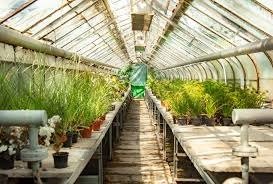 Sollywood Green House project
